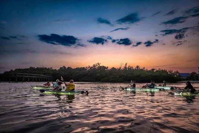 Sarasota - Clear Kayak LED Night Glass Bottom Tour - Is $65 a Fair Price?