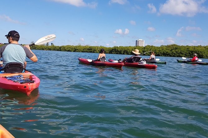 Sarasota Guided Mangrove Tunnel Kayak Tour - Meeting at 190 Taft Drive in Sarasota