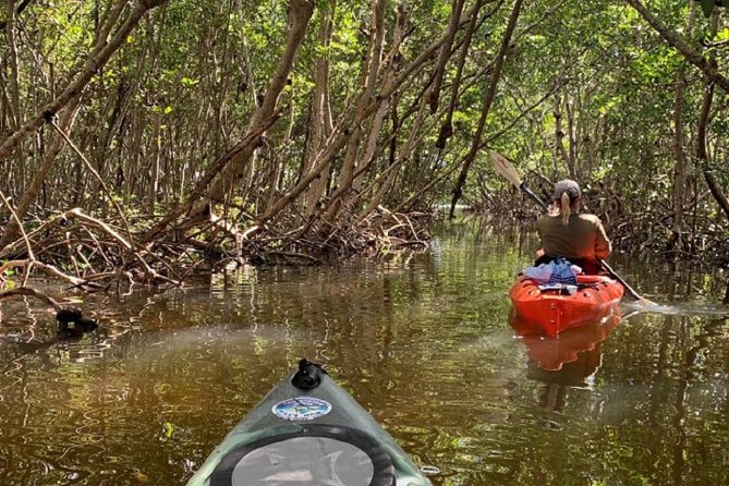 Sarasota Guided Mangrove Tunnel Kayak Tour - What the $59 price gets you