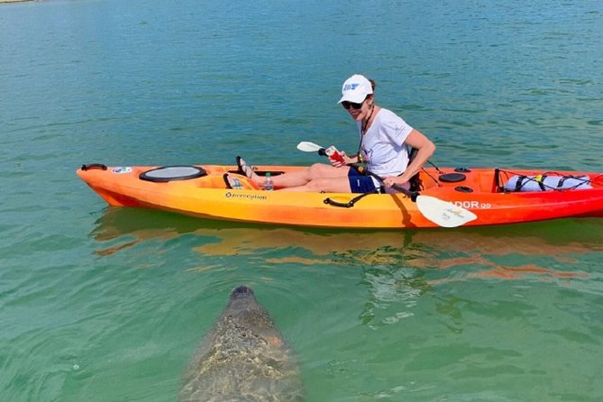 Sarasota Guided Mangrove Tunnel Kayak Tour - Paddling across Little Sarasota Bay