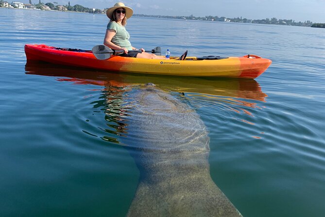 Sarasota Mangrove Tunnel Guided Kayak Adventure - Why the Lido Key Tunnels Make This Trip Special