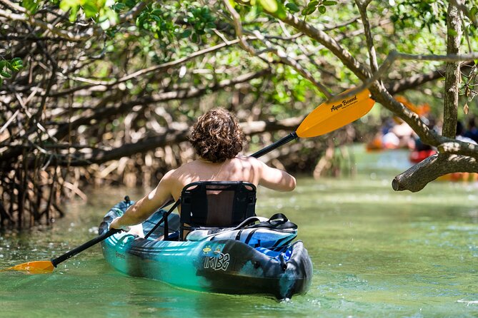 Sarasota Mangrove Tunnel Guided Kayak Adventure - Is Two Hours Enough for $65?