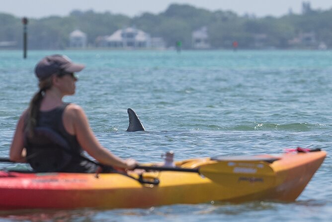 Sarasota Mangrove Tunnel Guided Kayak Adventure - Who Will Enjoy This Sarasota Kayak Adventure?