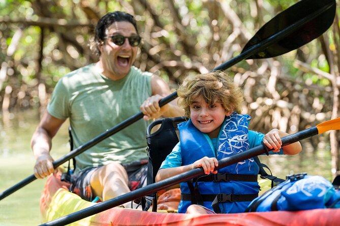 Sarasota Mangrove Tunnel Guided Kayak Adventure - Practical Tips for a Better Paddle