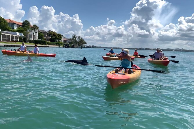 Sarasota Mangrove Tunnel Guided Kayak Adventure - Should You Book the Lido Key Mangrove Tour?