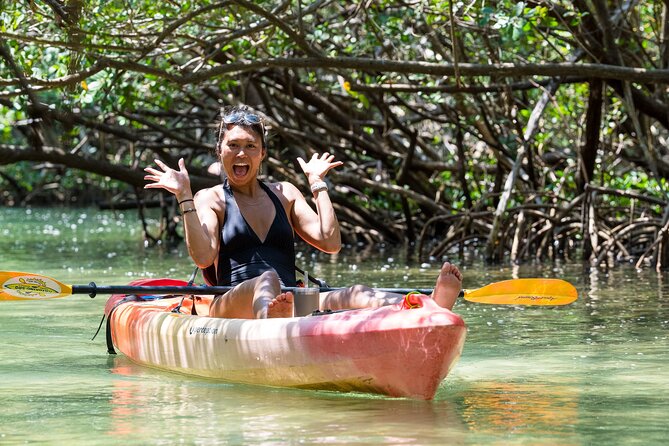 Sarasota Mangrove Tunnel Guided Kayak Adventure - Entering the Lido Key Mangrove Tunnels