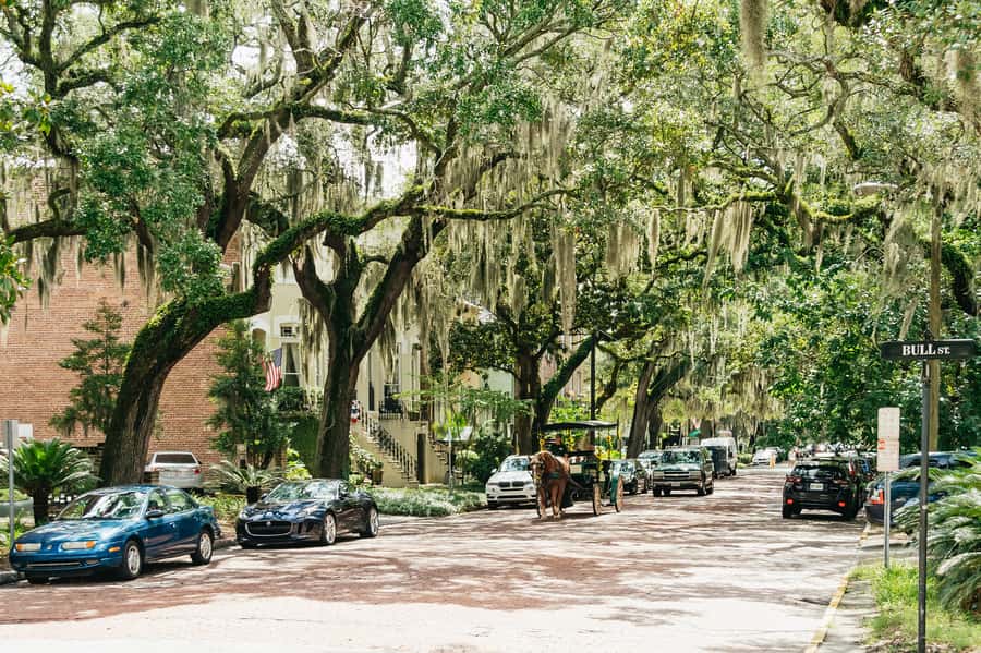 Savannah: Old Savannah Tours Historic Overview - Comfort, timing, and practical planning