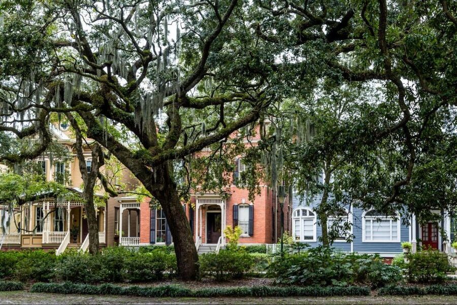 Savannah: Riverboat Cruise & City Tour Combo - What you see from the Savannah River