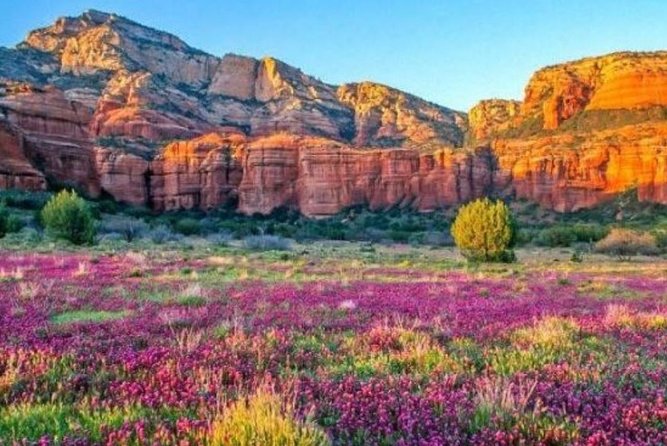 Scenic Sedona Tour - Airport Mesa: wide views and Sedona’s vortex tradition