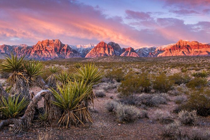 Scooter Tours of Red Rock Canyon - Key points to know before you book