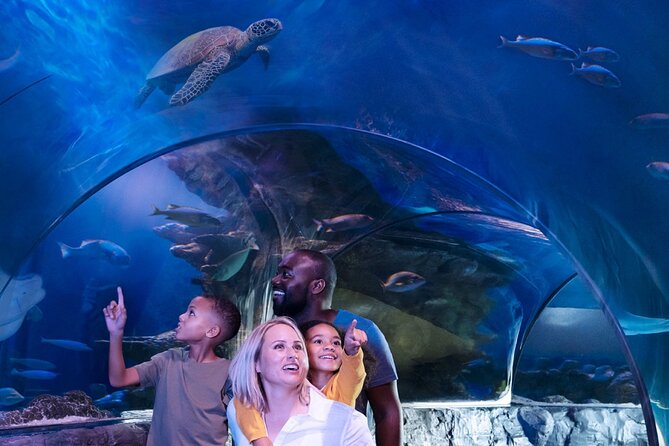 SEA LIFE Orlando Aquarium Admission Ticket at ICON Park - How Long You Should Plan to Stay