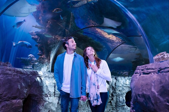 SEA LIFE Orlando Aquarium Admission Ticket at ICON Park - Adding Madame Tussauds Orlando