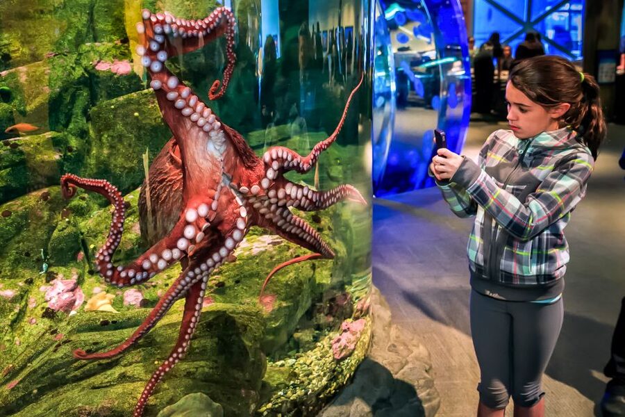 Seattle CityPASS®: Save up to 46% at 5 Top Attractions - Planning a one, two, or four-day visit
