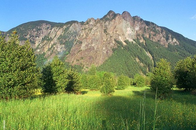 Seattle Wine & Snoqualmie Falls Highlights Tour - Snoqualmie Falls, the day’s big view