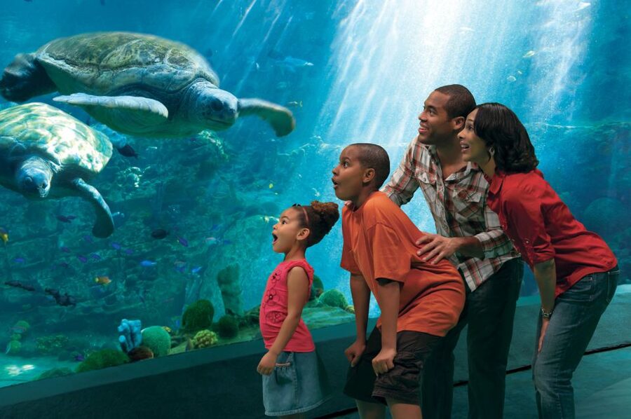SeaWorld Orlando: Park Admission Ticket - Key things to know before you go