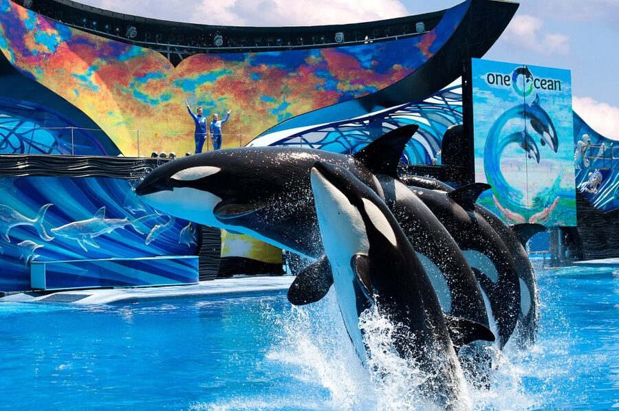 SeaWorld Orlando: Park Admission Ticket - Sesame Street Land for younger children