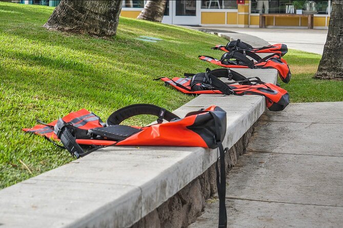 Secret Falls Kayak & Hike Guided Adventure on the Wailua River - Is $145.03 a fair price?