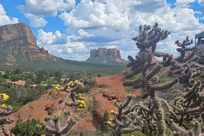 Sedona Magical Sightseeing Highlight Tour- 5 Stars - Airport Scenic Overlook: the wide Sedona view
