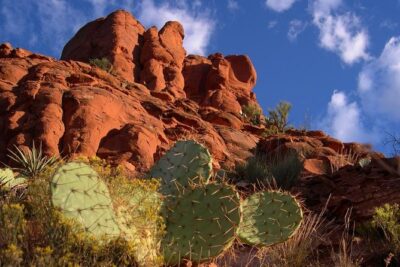 Sedona Red Rocks Outback Tour: Scenic with mild off-roading
