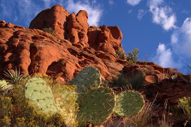 Sedona Red Rocks Outback Tour: Scenic with mild off-roading - Why the mild bumps are part of the appeal