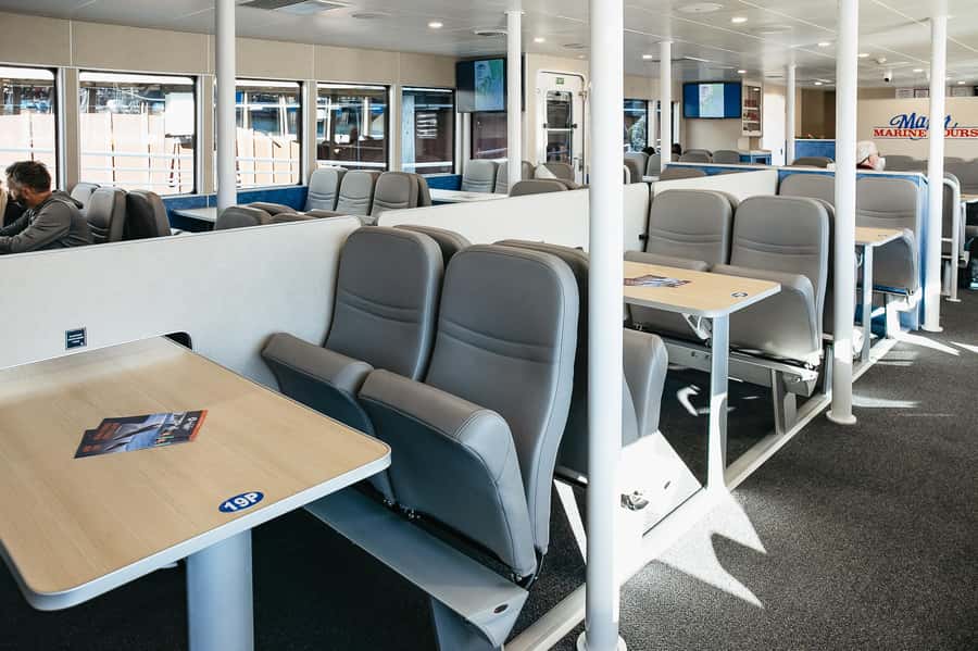 Seward: Kenai Fjords National Park Catamaran Cruise w/Lunch - What the wildlife viewing can really be like