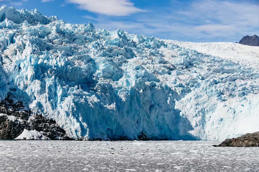 Seward: Kenai Fjords National Park Catamaran Cruise w/Lunch - Searching Resurrection Bay for whales and sea life