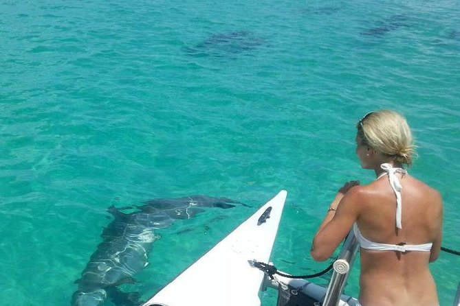 Shallow Water Snorkeling and Dolphin Watching in Key West - Key points to know before you book