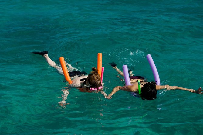 Shallow Water Snorkeling and Dolphin Watching in Key West - Setting out from Key West Bight Marina