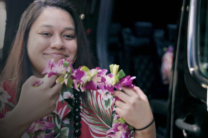 Shared Arrival Transfer: Honolulu Airport to Hotel or Cruise Terminal - What the Ride Feels Like on the Way to Waikiki