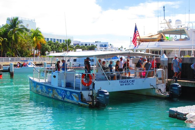 Shark and Wildlife Viewing Adventure in Key West - How reliable are the sharks and dolphins?