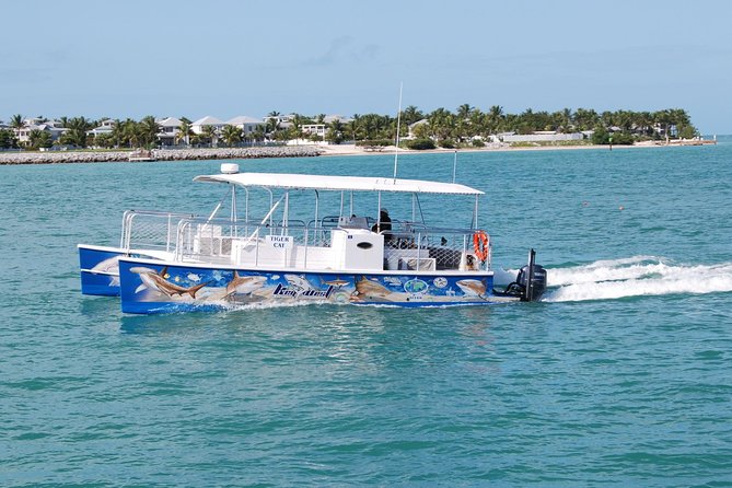 Shark and Wildlife Viewing Adventure in Key West - Booking, cancellation, and practical planning