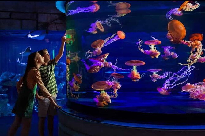 Shark Reef at Mandalay Bay Hotel and Casino - The desert setting makes the main tank memorable
