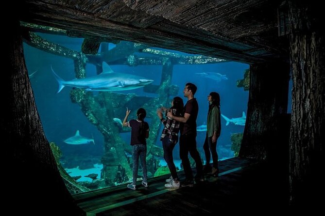 Shark Reef at Mandalay Bay Hotel and Casino - The VR theater is short but worth adding to your plan
