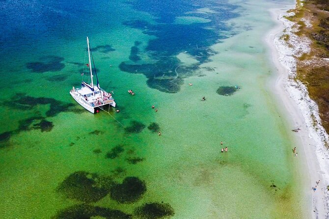 Shell Island Snorkel and Dolphin Catamaran Cruise with Island Time - Key Points at a Glance