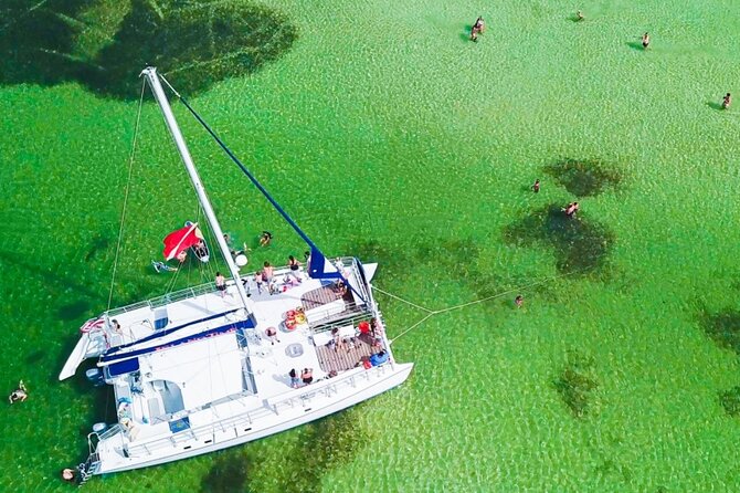 Shell Island Snorkel and Dolphin Catamaran Cruise with Island Time - Leaving from 5201 North Lagoon Drive