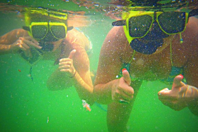 Shell Island Snorkel and Dolphin Catamaran Cruise with Island Time - Is $57.59 a Good Price?