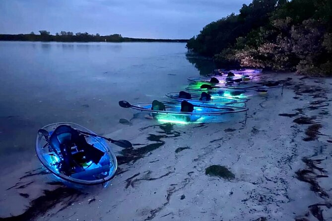Shell Key Clear Kayak Sunset & Glow Tours - Is $84 a fair price?