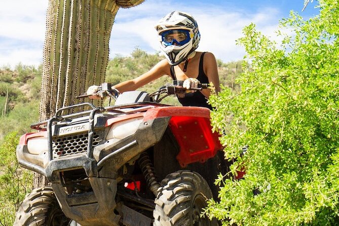 Sidewinder ATV Training & Centipede Tour Combo - Guided ATV Training & Tour - Price and what you receive for $179.65