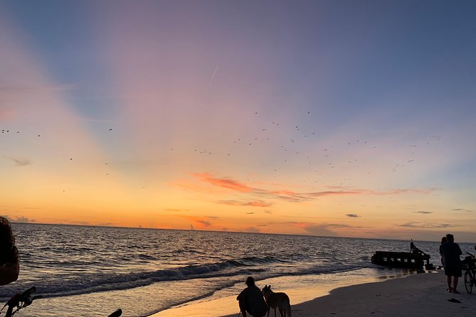 Siesta Key Electric Bike Sunset Tour - Fruit, cheese, wine, and a simple finish