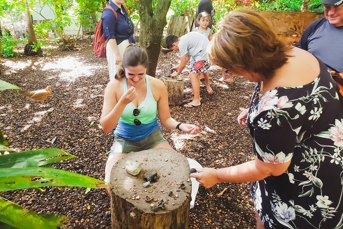 Sights & Bites Ultimate Oahu Circle Island Foodie Tour - Hanauma Bay, Makapuʻu Point, and Mokoliʻi Island
