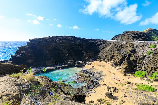 Sights & Bites Ultimate Oahu Circle Island Foodie Tour - Tropical Farms and the first real food stop