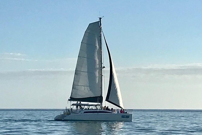 Sightseeing and Sunset Catamaran Sailing Excursion - Sailing toward the Gulf of Mexico