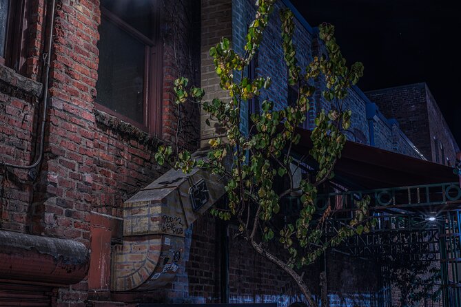 Sinister Sins, Scandal, and Shadows: Seattle Ghost Tour - Why the guide can make or break the night