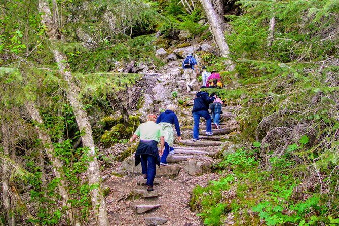 Skagway Shore Excursion Chilkoot Trail Hike and Float Tour - A two-part outing beyond downtown Skagway