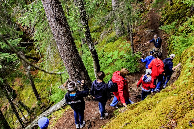 Skagway Shore Excursion Chilkoot Trail Hike and Float Tour - A gentle float on the Taiya River