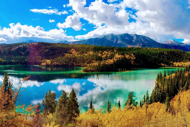 Skagway Shore Excursion: Full-Day Tour of the Yukon - Key points to know before booking