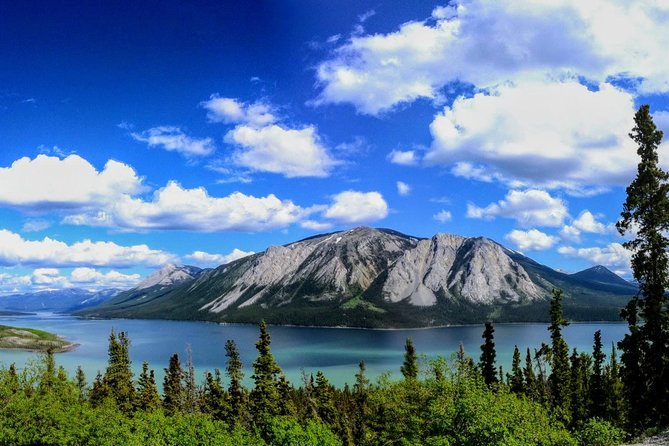 Skagway Shore Excursion: Full-Day Tour of the Yukon - Why the Yukon makes a strong Skagway day trip
