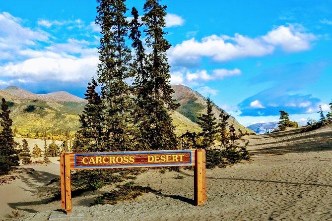 Skagway Shore Excursion: Full-Day Tour of the Yukon - Tutshi Lake, Tagish Lake, and Bove Island