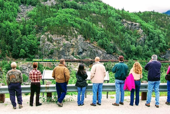 Skagway Shore Excursion: Half-Day Tour to the Yukon Border and Suspension Bridge - The Yukon Suspension Bridge