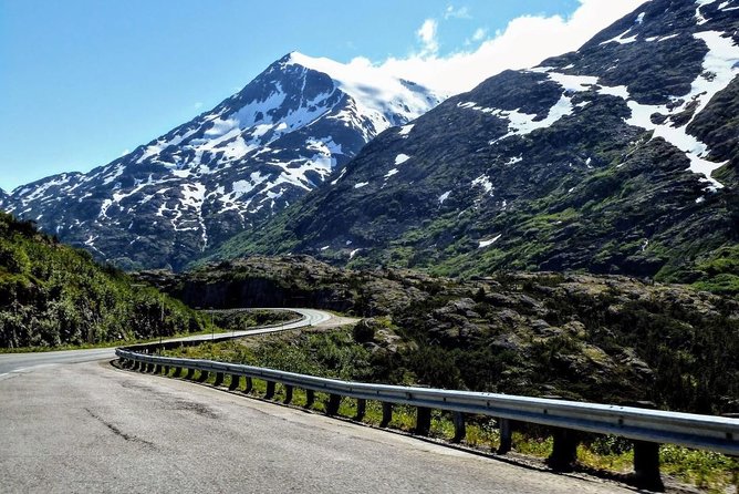 Skagway Shore Excursion: Half-Day Tour to the Yukon Border and Suspension Bridge - Price, Timing, and Shore Excursion Value